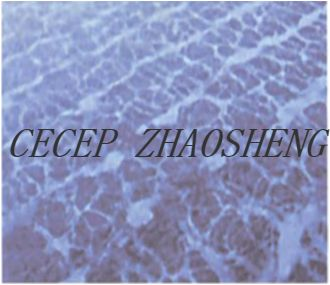 ZPG Type Elastic Rubber Membrane Tube Microporous Diffuser